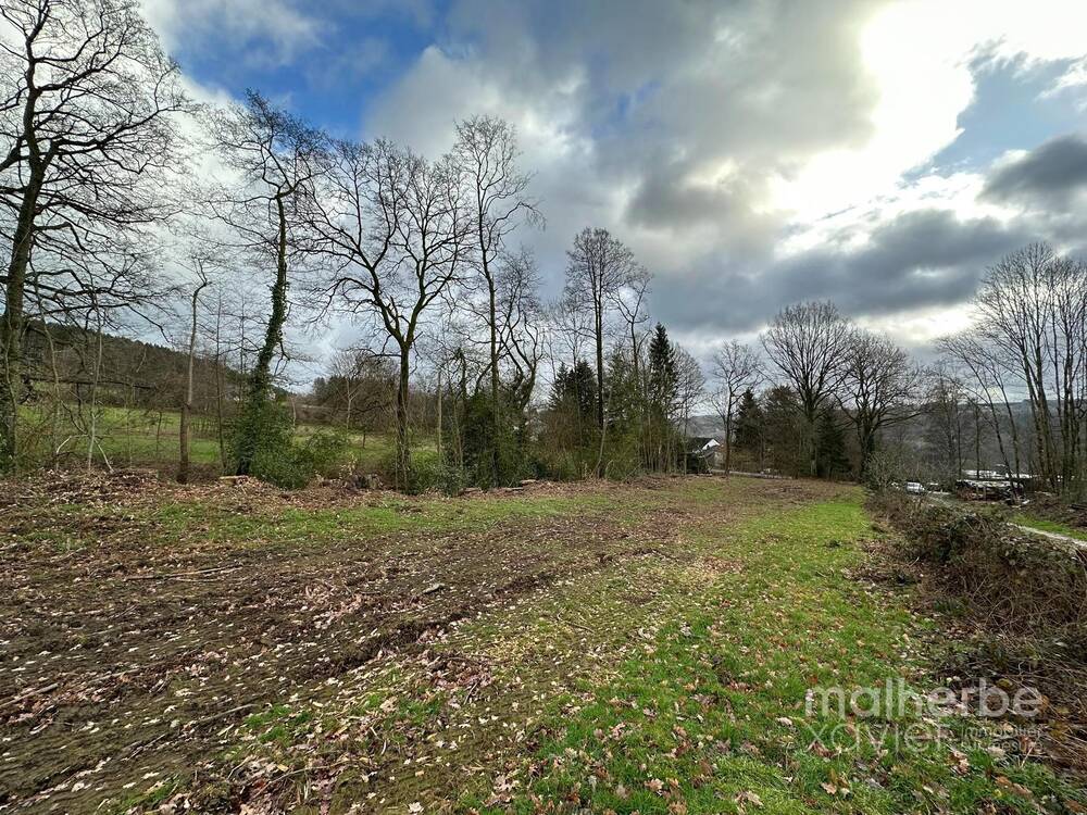 Terrain à vendre à Stavelot 4970 99000.00€  chambres m² - annonce 13922