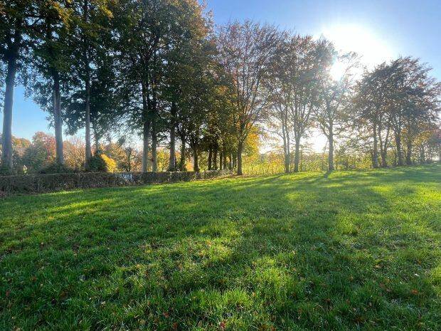 Terrain à vendre à Butgenbach 4750 82500.00€  chambres m² - annonce 206485