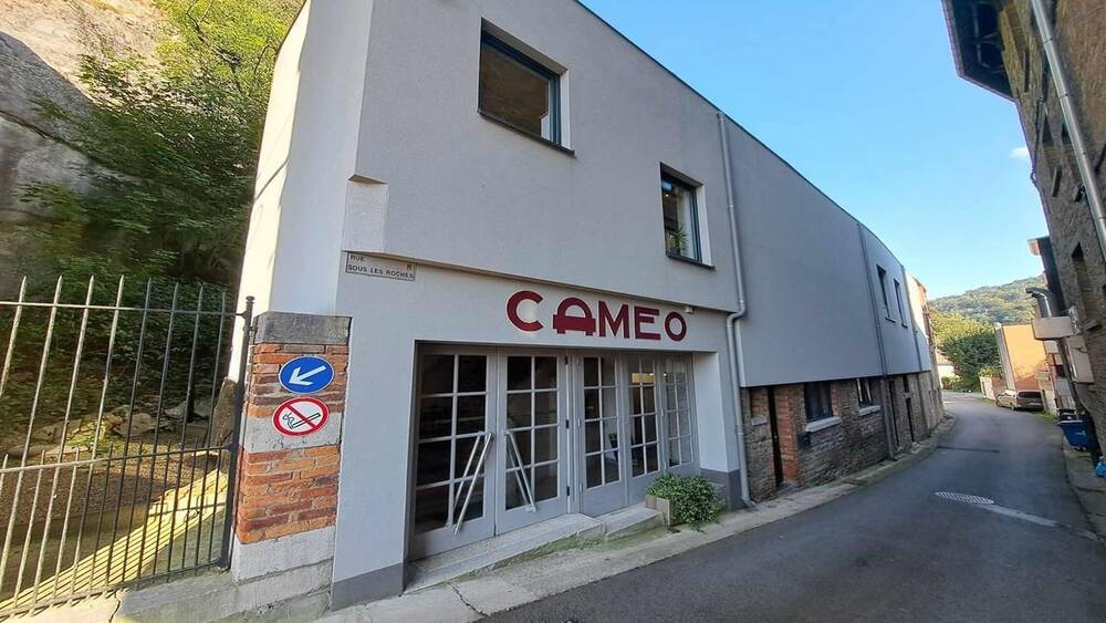 Commerce à vendre à Esneux 4130 375000.00€  chambres m² - annonce 236620