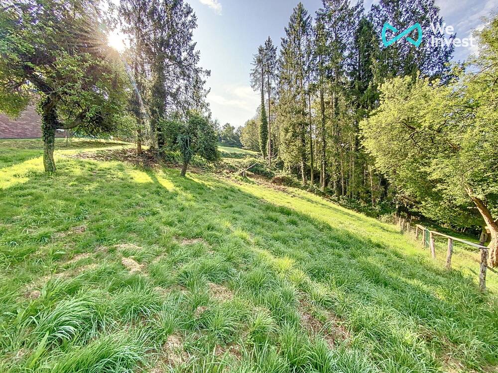 Terrain à vendre à Sougné-Remouchamps 4920 84000.00€  chambres m² - annonce 239818