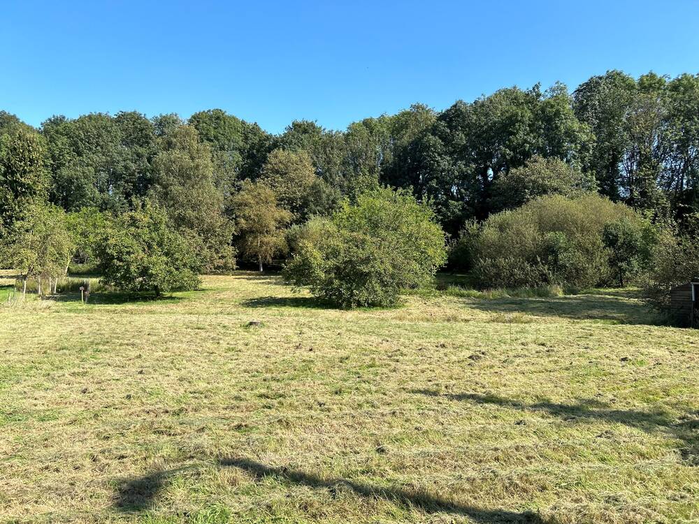 Terrain à bâtir à vendre à Hombourg 4852 220000.00€  chambres m² - annonce 290281