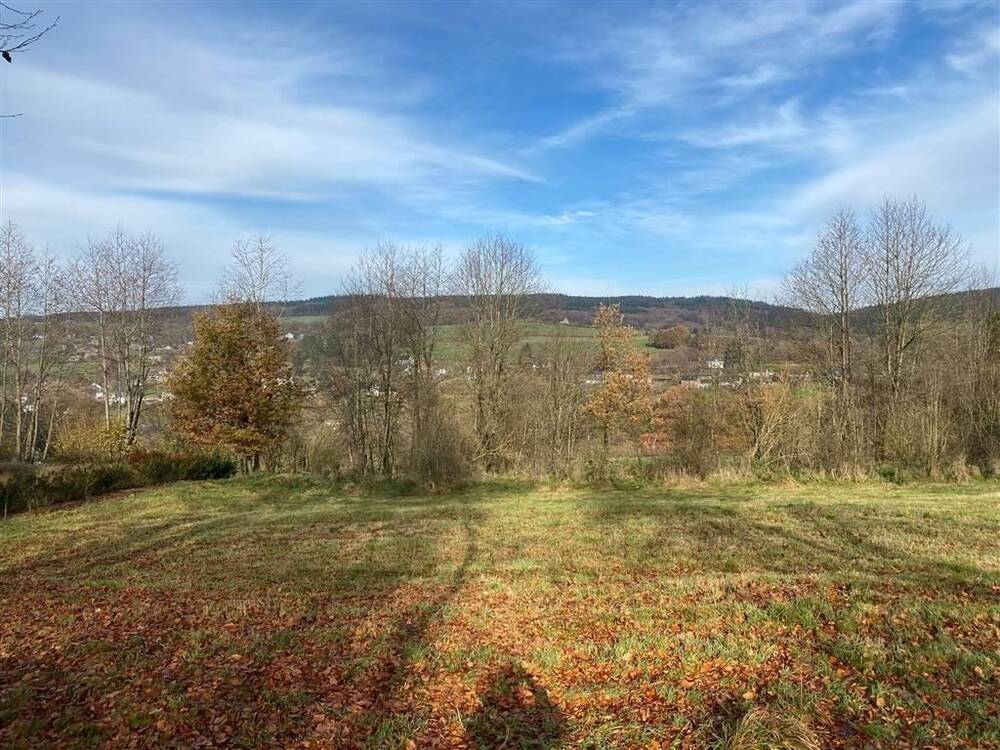 Terrain à vendre à Bellevaux-Ligneuville 4960 125000.00€  chambres m² - annonce 308236