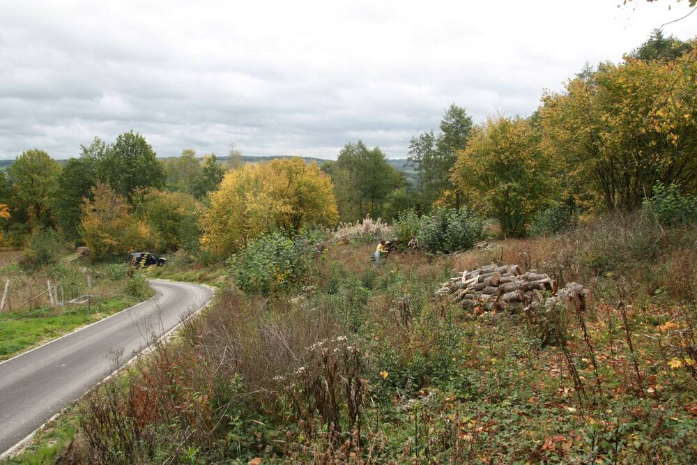 Terrain à vendre à Stavelot 4970 100000.00€  chambres m² - annonce 312975